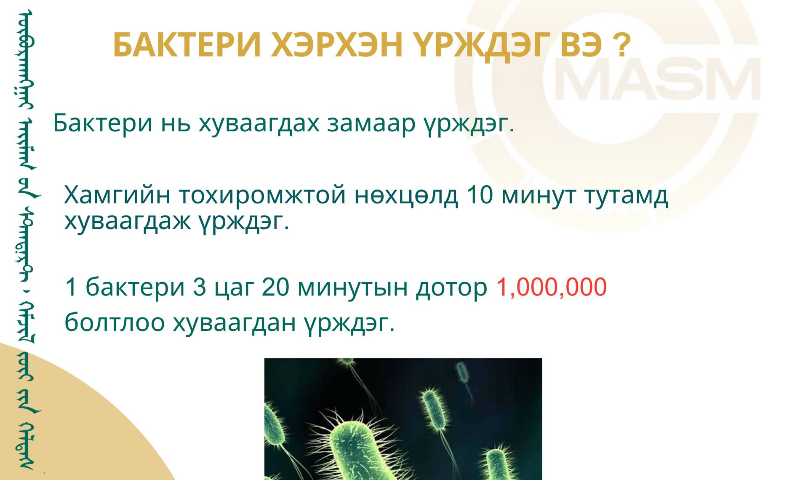 БАКТЕРИ ХЭРХЭН ҮРЖДЭГ ВЭ?
