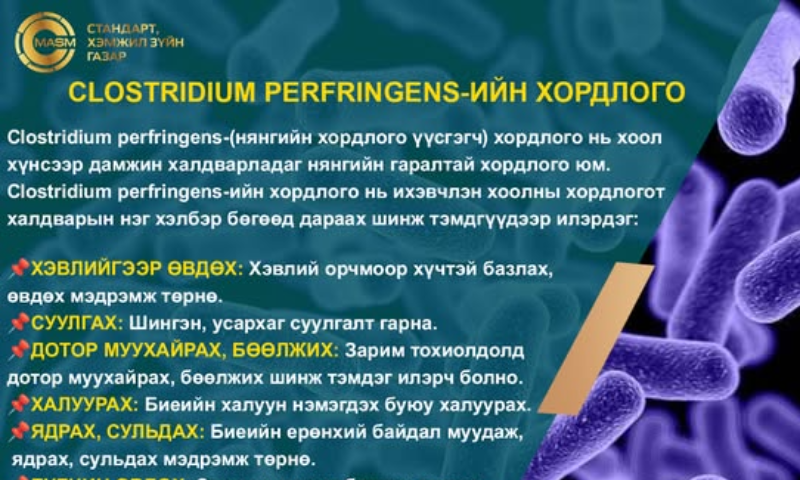 ✅Монгол Улсын Шадар сайд С.Амарсайханы тушаалаар байгуулагдсан Хяналт шалгалтын ажлын хэсэг өнөөдөр МУБИС-ийн Лицей сургууль, Нийслэлийн ЕБ-ын 47-р сургуулийн хоол үйлдвэрлэл, үйлчилгээ, эрүүл ахуй стандартын шаардлага хангасан эсэхэд хяналт шалгалт хийлээ.
✅Мөн халбага, сэрээ, аяга таваг гэх мэт гал тогооны хэрэглэгдэхүүнээс арчитасаар дээж авч, нян, бактерийн шинжилгээ хийсэн юм. Шинжилгээний хариу 14 хоногийн дотор гарна.
✅Өнөөдөр ажилласан МУБИС-ийн Лицей сургуулийн гал тогооноос 530 гаруй хүүхэд хооллож байгаа бол Нийслэлийн ЕБ-ын 47-р сургуулийн гал тогооноос 1100 хүүхэд хооллож байна. Хяналт шалгалтын урьдчилсан дүнгээр  сургуулиудын гал тогооны хэрэгсэлд  нян, бактери илэрч байгааг мэргэжилтнүүд хэлж байлаа. Түүнчлэн гал тогооны агааржуулалт муу, орчны эрүүл ахуй шаардлага хангаагүй, хоолны шим тэжээл дутуу зэрэг нийтлэг зөрчил илэрсэн байна.
✅Харин хоолны шим тэжээлийн байдлын хувьд цэцэрлэгийн хүүхдийн хоолны шим тэжээл 10% хэтэрсэн, сургуулийн хүүхдийн хоолны шим тэжээлийн байдал 35% дутуу дүн гарсан байна. Тиймээс хүнсний аюулгүй байдал, эрүүл ахуйн стандартыг мөрдүүлэх, хүүхдийн хоолны илчлэг, шим тэжээлийн чанарыг сайжруулах зэрэг зөвлөмж, зөвлөгөөг өгч ажиллажээ. 
✅Хяналт шалгалтын баг 5-р сарын 30 гэхэд нэгдсэн дүнг гарган мэдээлэхээр ажиллаж байна. Монгол Улсын Шадар сайд С.Амарсайхан сургууль, цэцэрлэгийн хоол үйлдвэрлэлийн асуудалд онцгойлон анхаарал хандуулж, хяналт шалгалтыг шат дараатай зохион байгуулан, стандартын хэрэгжилтийг сайжруулах, илэрсэн зөрчлийг арилгуулах, бодлогын түвшинд үр дүнтэй арга хэмжээ авч ажиллахыг анхааруулсаар байгаа юм. 
✅Хамтарсан хяналт шалгалтын баг орон нутгийн 15 сургууль, нийслэлийн 10 гаруй сургуульд хяналт шалгалт хийгээд байна.